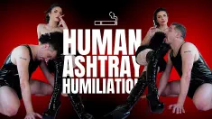 Thumbnail of Human Ashtray Humiliation
