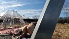 Thumbnail of Dick Behind The Cheek Sheer Misssvikki