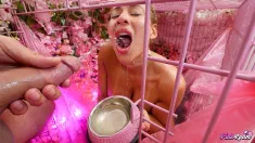 Thumbnail of Pink Room Ep. 37: Carmela Clutch Drinks Piss & Earns A Huge Cum Load