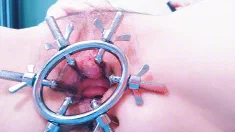Thumbnail of Sexmachine/Pussyspread/Vagina/Hardcore