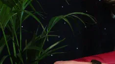 Thumbnail of Paige Ashley Takes DP Threesome From Tony And Demetri