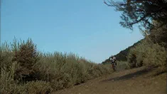 Thumbnail of Avena Lee Fucked Outdoors In The Woods